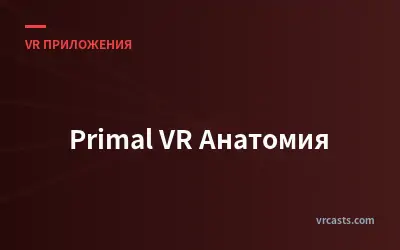 Primal VR Анатомия