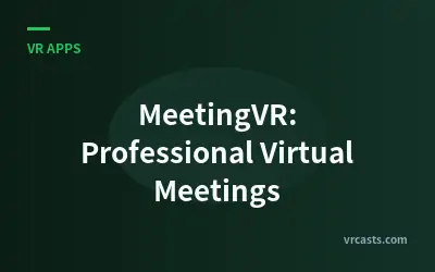 MeetingVR: Professional Virtual Meetings