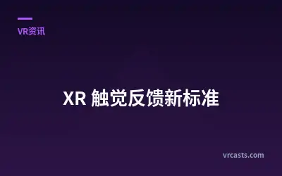 XR 触觉反馈新标准