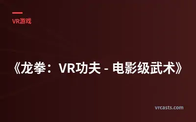 《龙拳：VR功夫 - 电影级武术》